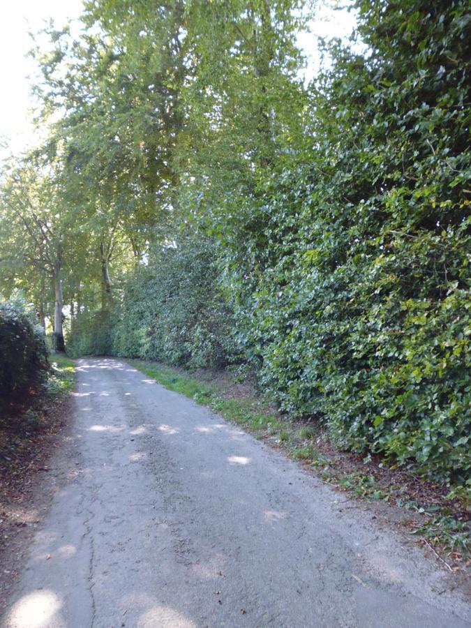 Eifel Lodge Butgenbach Εξωτερικό φωτογραφία